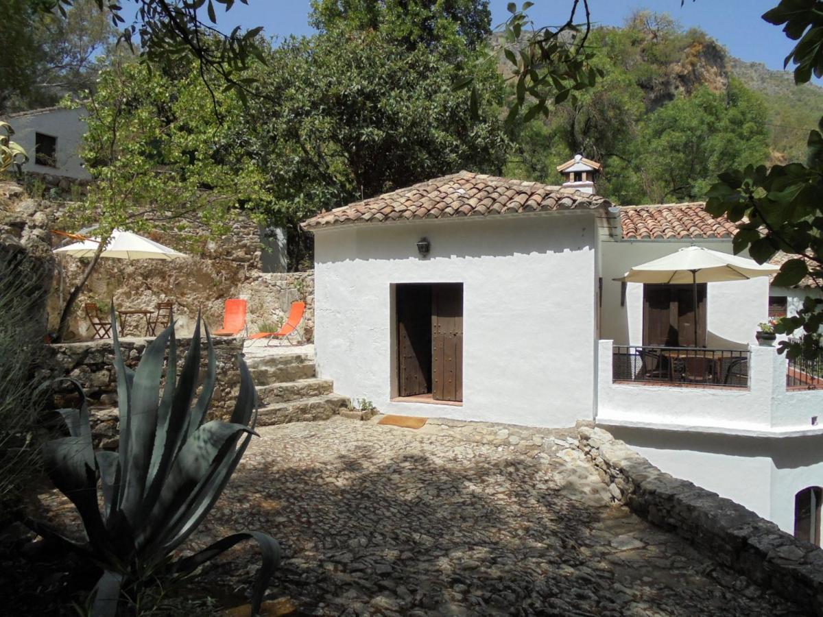 El Pastor Villa Grazalema Exterior photo