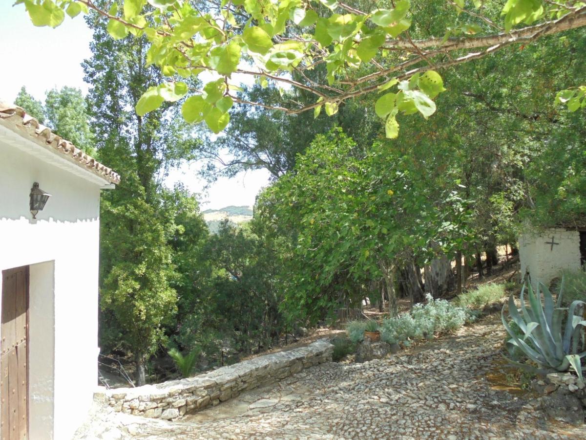 El Pastor Villa Grazalema Exterior photo